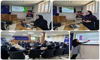 تقویت مهارت‌های مراقبتی نوزادان؛ برگزاری کارگاه تخصصی «قدم نورسیده مبارک» برای کادر سلامت در ششتمد